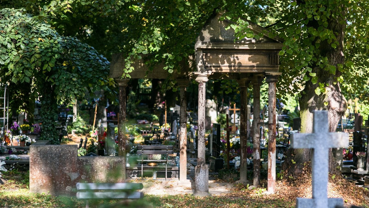 Wszystkich Świętych w Gdańsku oznaczać będzie wiele zmian w organizacji ruchu. Chcąc odwiedzić groby bliskich na cmentarzu przy ul. Dąbrowskiego, najwygodniej będzie dojechać autobusem lub tramwajem.