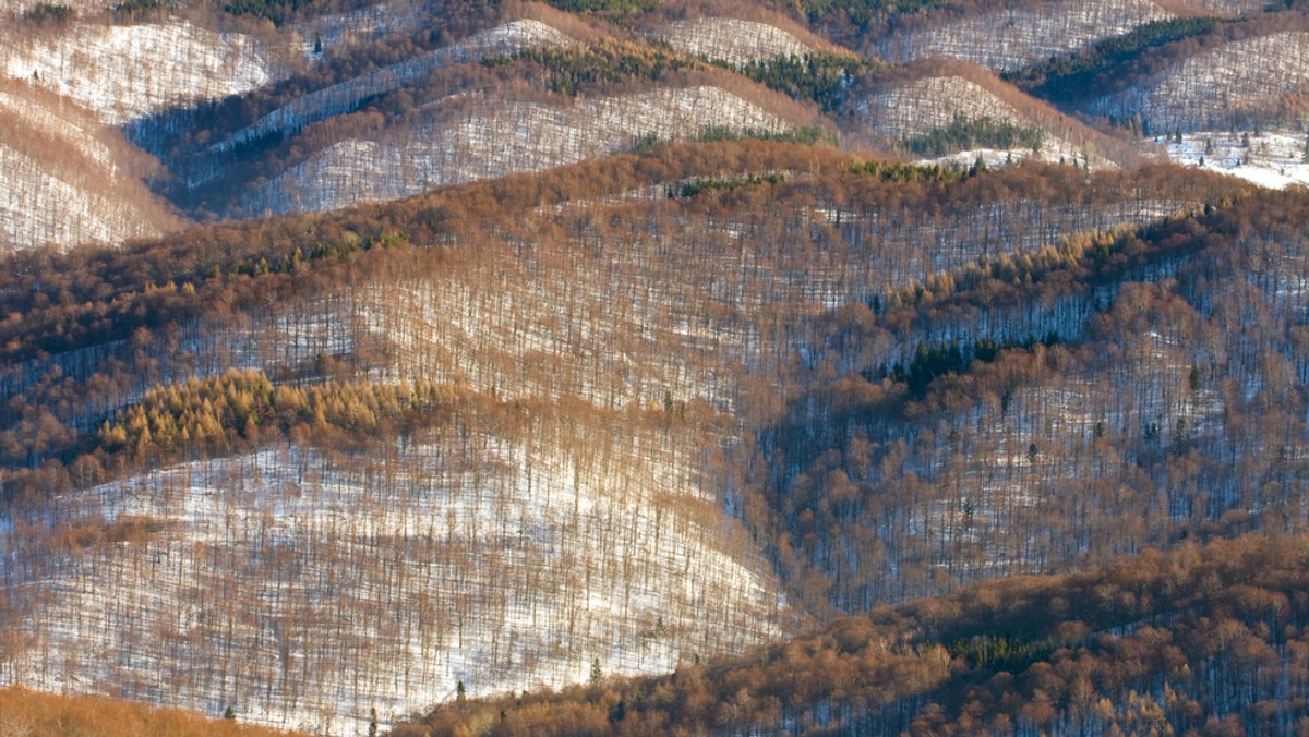 Na Połoninie Wetlińskiej wiatr wieje z prędkością dochodzącą w porywach do 100 km/godz. - Powyżej górnej granicy lasu jest drugi stopień zagrożenia lawinowego - powiedział ratownik dyżurny bieszczadzkiej grupy GOPR Paweł Szopa.