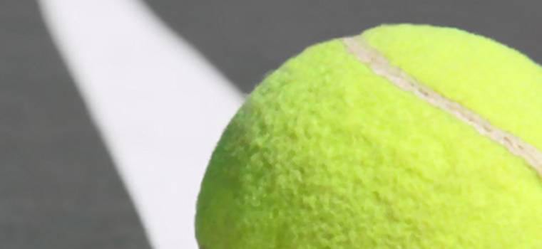 Radwańska vs Kerber. Transmisja online z półfinału Wimbledonu