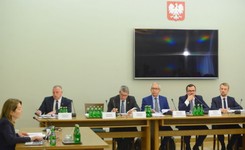 Chojna-Duch przed komisją ds. VAT: Lobbing wprowadził w błąd Sejm