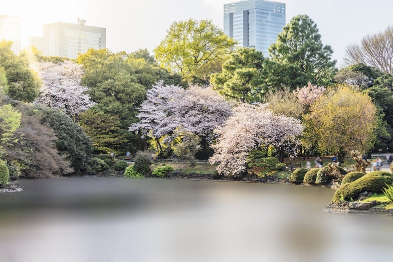 Japonia: Miejsca, których nie można pominąć podczas podróży