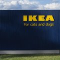 Ikea wypuszcza kolekcję dla psów i kotów. Zobacz zdjęcia