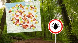 Se creó un mapa nacional de ticks.  La mayoría de ellos están en estos lugares.