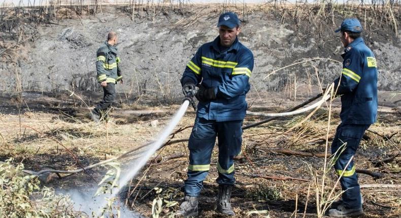 Cypriot and Israeli firefighters help extinguish a fire near the northern Israeli city of Hadera, on November 27, 2016, following a wildfire