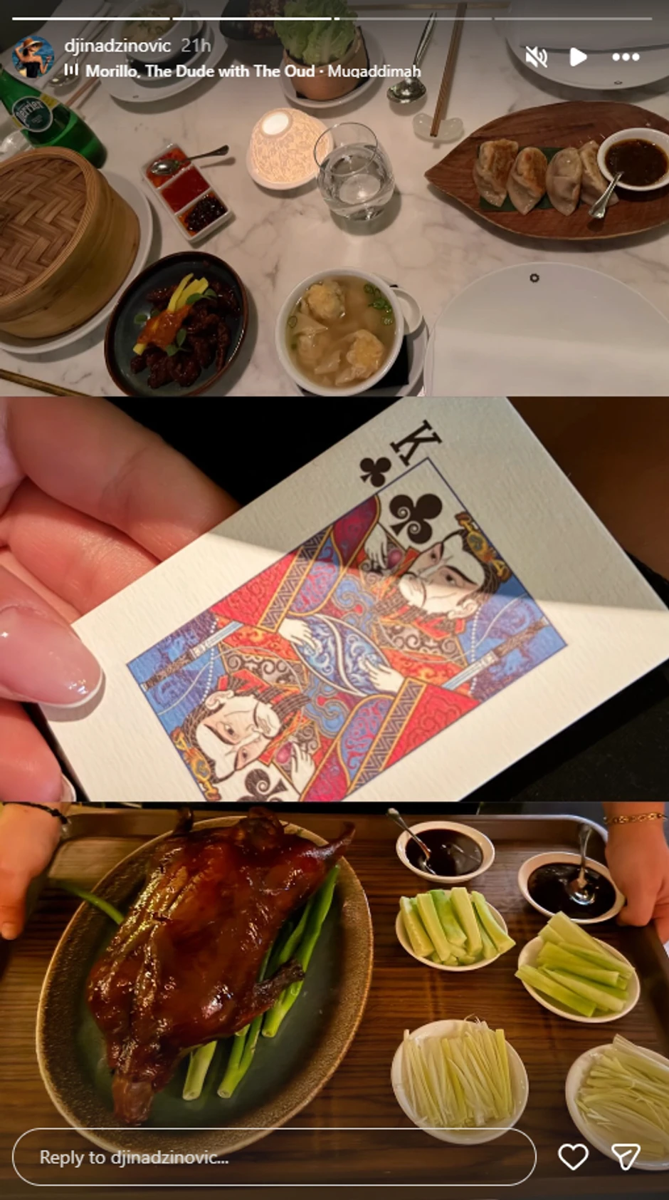 Đina Džinović, objava