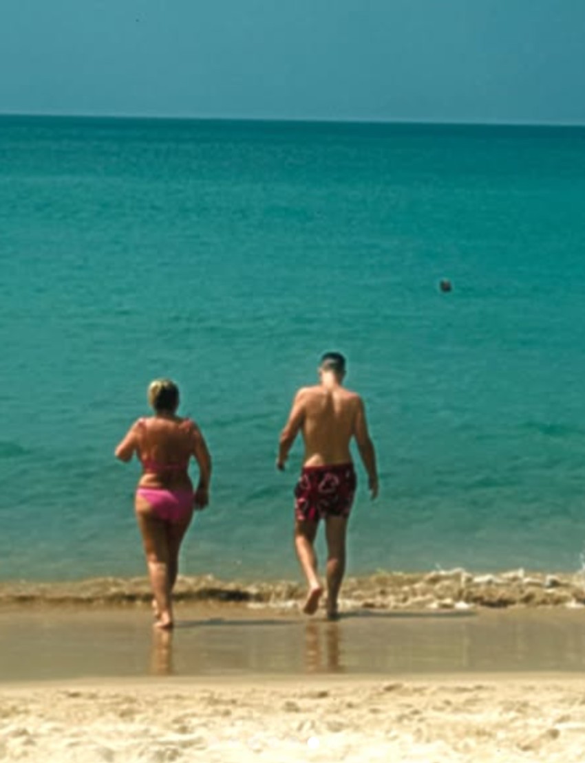 Objava Viktora Živojinovića