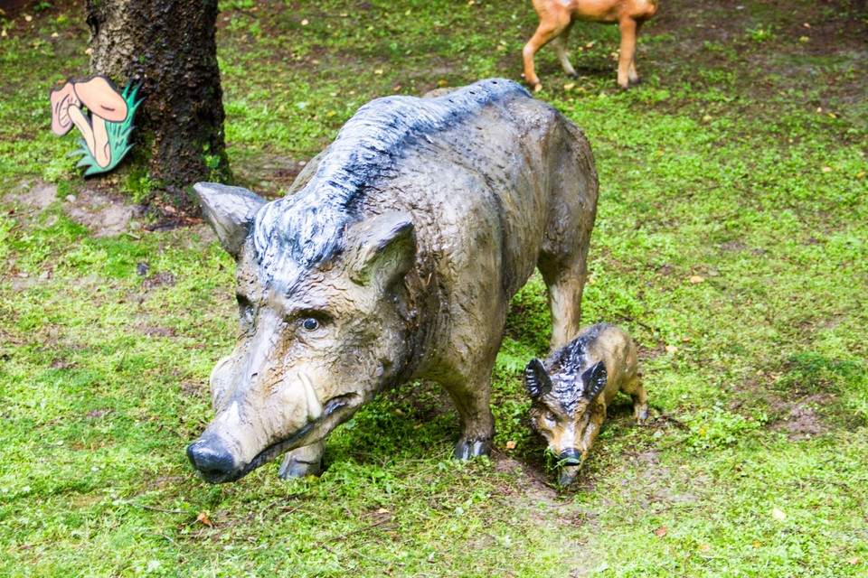 Park Bajek i Wodnych Stworzeń w Zatorze