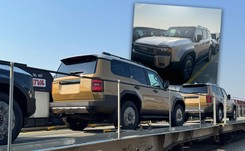 705 aut sprzedali w ciemno. Nowa Toyota sensacją w Polsce