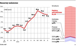 Czekamy na 100 mld euro rezerw