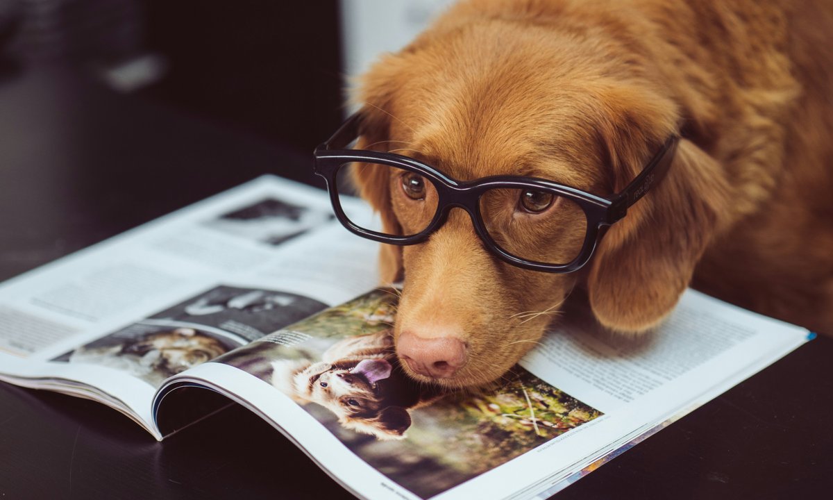 Prawda czy fałsz? Szybki quiz sprawdzi, czy nie masz braków