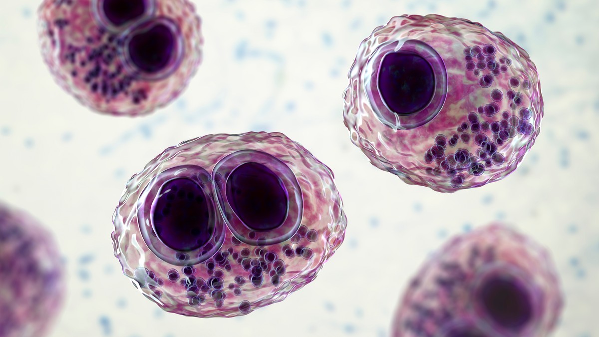 Citomegalovirus je veoma čest virus iz porodice herpes virusa