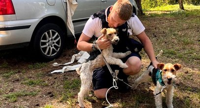 Te kruszynki właściciel zostawił w upale w samochodzie. Nie miały nawet wody. Reakcja policjanta aż rozczula