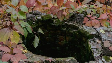 zgłosisz się dobrowolnie? może cię ominąć kara 60 000 zł