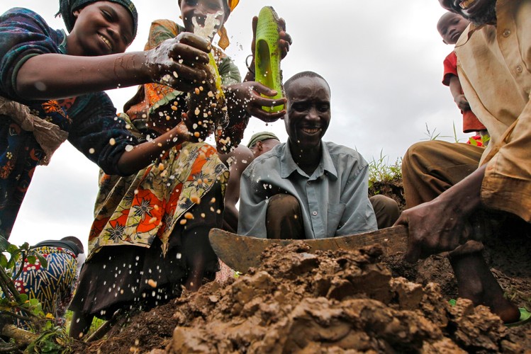 Pigmeje z dżungli w Afryce