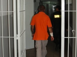 Obrabował sklep, wylądował w kukurydzy