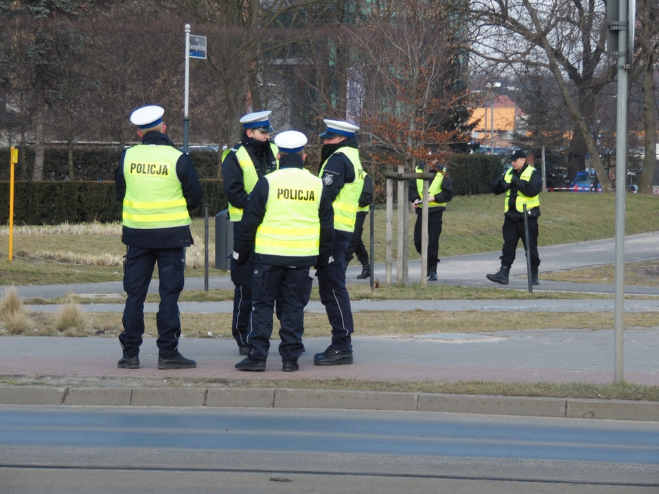 Poznań: szukali Ewy Tylman z wykorzystaniem psów tropiących