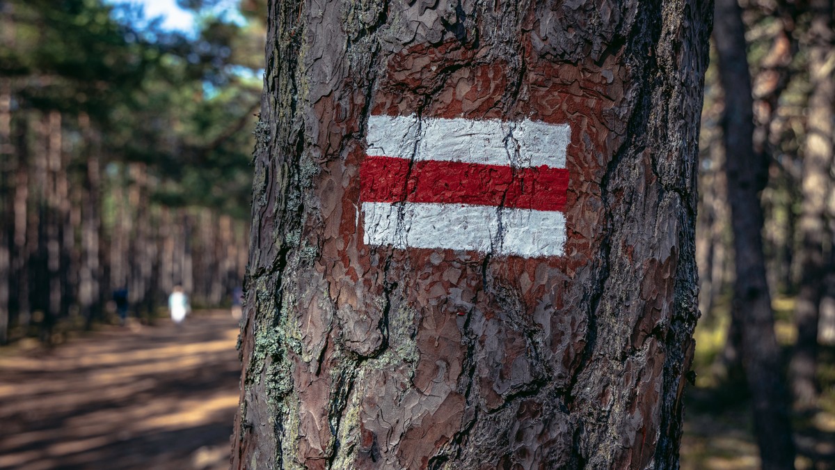 Standardowe oznakowanie szlaku turystycznego pieszego