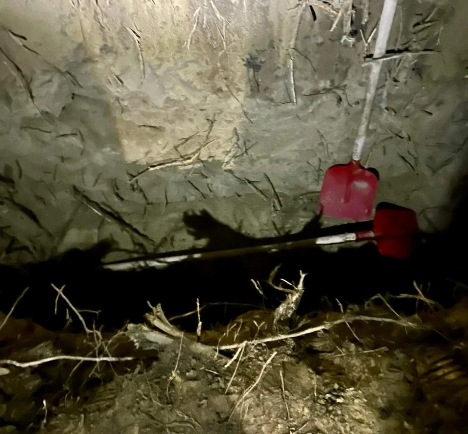 policija organizovni kriminal ubistvo hapšenje