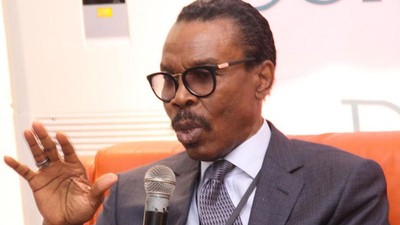 Bismarck Rewane was a member of former President Buhari's Economic Advisory Council [ThisDay]