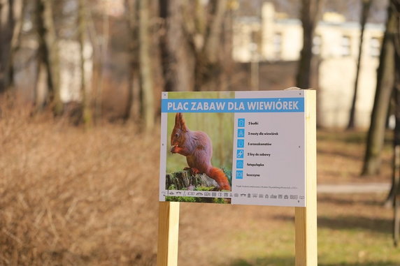 W Łodzi powstał plac zabaw dla wiewiórek. Nie chodzi jednak wyłącznie o zabawę!