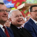 500 zł na krowę. PiS zapowiada nowe świadczenia dla rolników