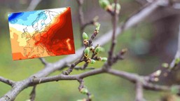 nagły zwrot w pogodzie. nadchodzi fala ciepłego powietrza i wiosenne słońce. termometry wystrzelą w górę