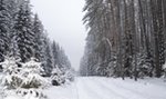 Poszedł na spacer, znalazł się w środku polowania