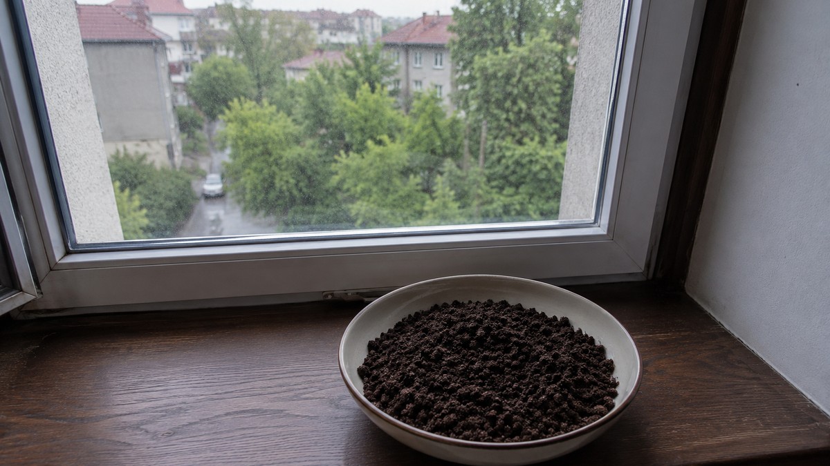 Mnogi tokom leta talog od kafe stavljaju na prozor i za to imaju dobar razlog