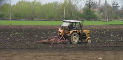 Rolnik pod Jasłem wykopał złoty skarb! Co z nim zrobił?