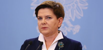 Znana projektantka o broszkach Szydło