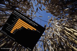 Ta mało znana, rosyjska firma w ciągu roku wyrosła na giganta eksportu pszenicy