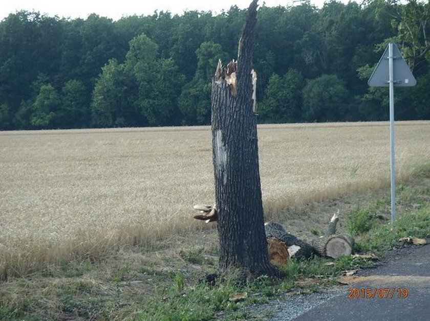 Wielkopolska spustoszona po niedzielnej nawałnicy