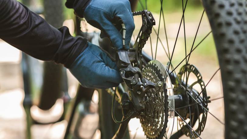 Beliebte Kettenblätter fürs Fahrrad im Vergleich