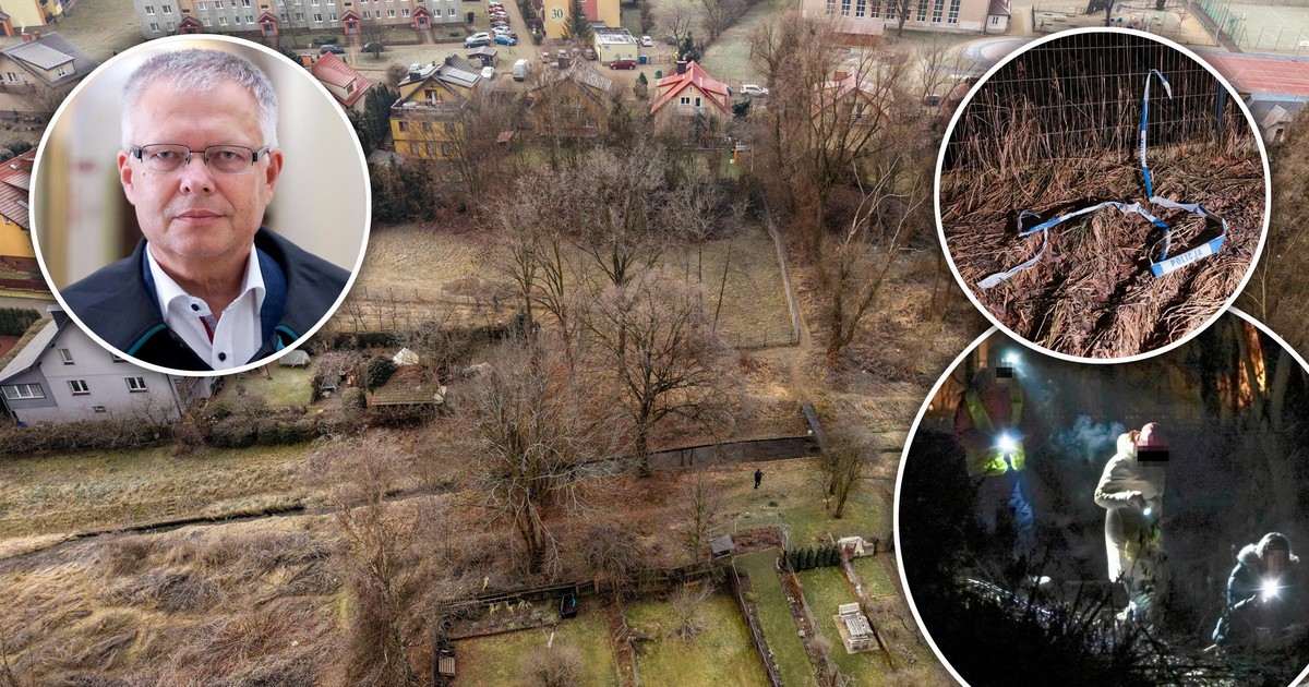 Zabójstwo Danusi. Były Prokurator Krajowy zszokowany zbrodnią. Mówi, co teraz czeka 12-latkę