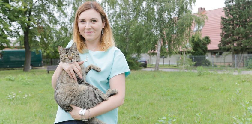 Ktoś strzela do kotów! Może zacząć celować do ludzi