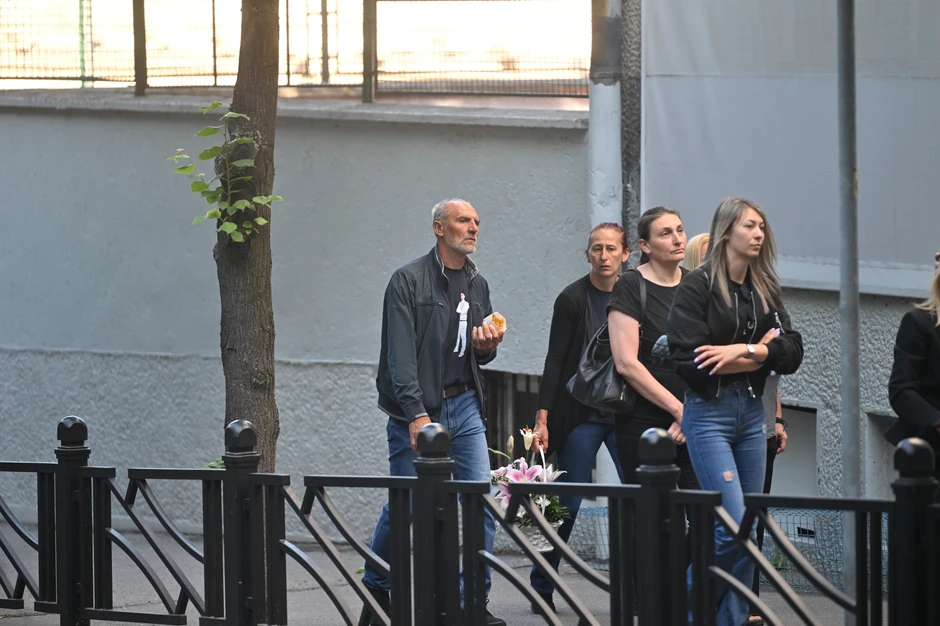 Plato ispred Osnovne škole "Vladislav Ribnikar"