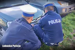 Jechała samochodem bez tablic. Nie potrafiła ich zamontować. Pomogli dopiero policjanci