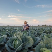 Zarada od povrća tokom zime! Evo šta da zasadite i zaradite novac