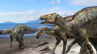 Japonia: odkryto nowy gatunek dinozaura