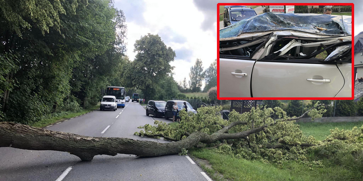 Drzewo spadło na samochód osobowy. 