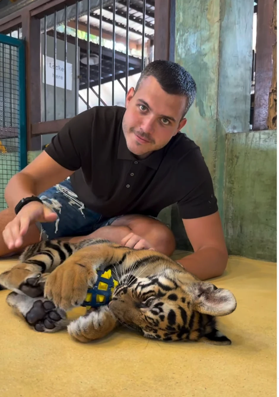 Viktor Živojinović se igra sa tigrom