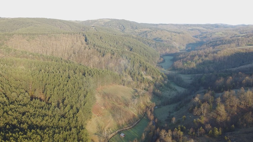 Proslava Prvog maja u suvoborskom kraju