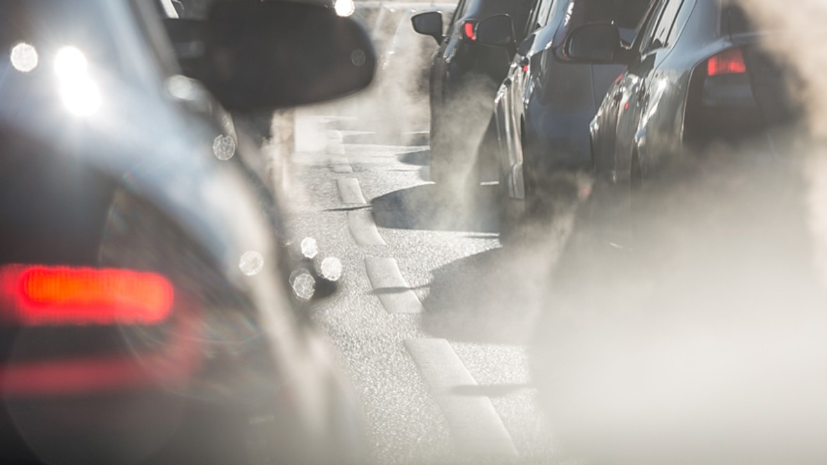 Korki tworzą się przed bramkami wjazdowymi na płatny odcinek autostrady A1 w Nowej Wsi koło Torunia w kierunku Gdańska. Na przejazd trzeba czekać ponad kwadrans – poinformowało w niedzielę Centrum Kontroli Ruchu A1.