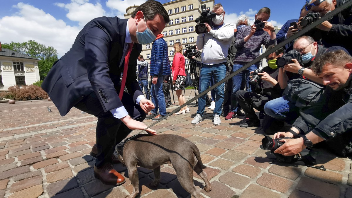 Władysław Kosiniak-Kamysz podczas konferencji prasowej w Krakowie, 16 maja 2020 r.