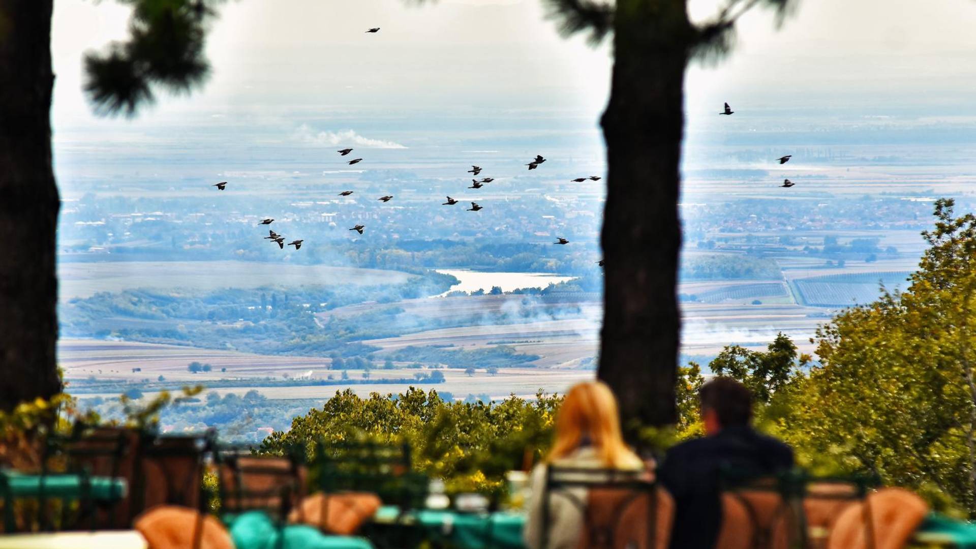 Zabrinjavajuća objava srpskog fotografa: Vreme je da saznate šta se dešava na Fruškoj gori