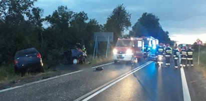 Śmiertelny wypadek w Miłosnej. Zginął, bo nie ustąpił