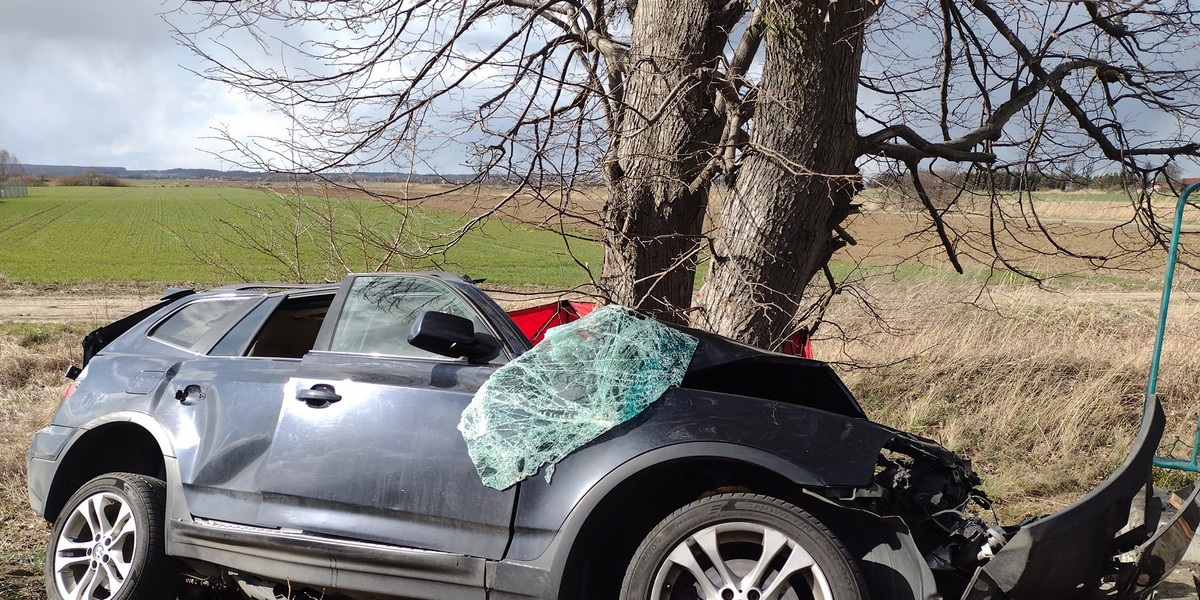 Tragedia na drodze pod Kwidzynem. Za kierownicą siedziała 26-latka.