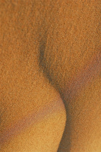 fot. Elżbieta Dzikowska