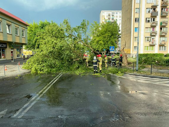 Skutki wichury w Gorzowie fot. czytelnicy