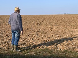 Ekoschematy 2025 ARiMR – od ilu hektarów? Jakie punkty za ekoschematy? Jakie stawki i terminy składania wniosków?